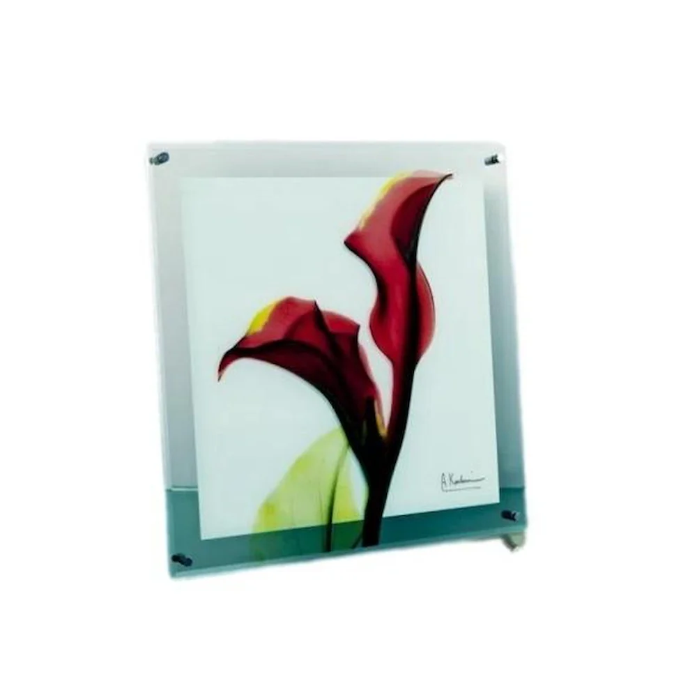 X RAY ガラス アート「カラー レッド」 Mサイズ 【直送品】 返品・キャンセル・他商品と同時購入は不可