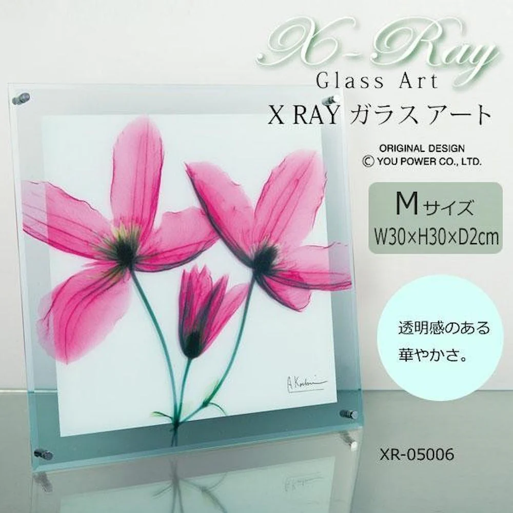 X RAY ガラス アート ジャーニー クレマチス Mサイズ 【直送品】 返品・キャンセル・他商品と同時購入は不可 - Image 2