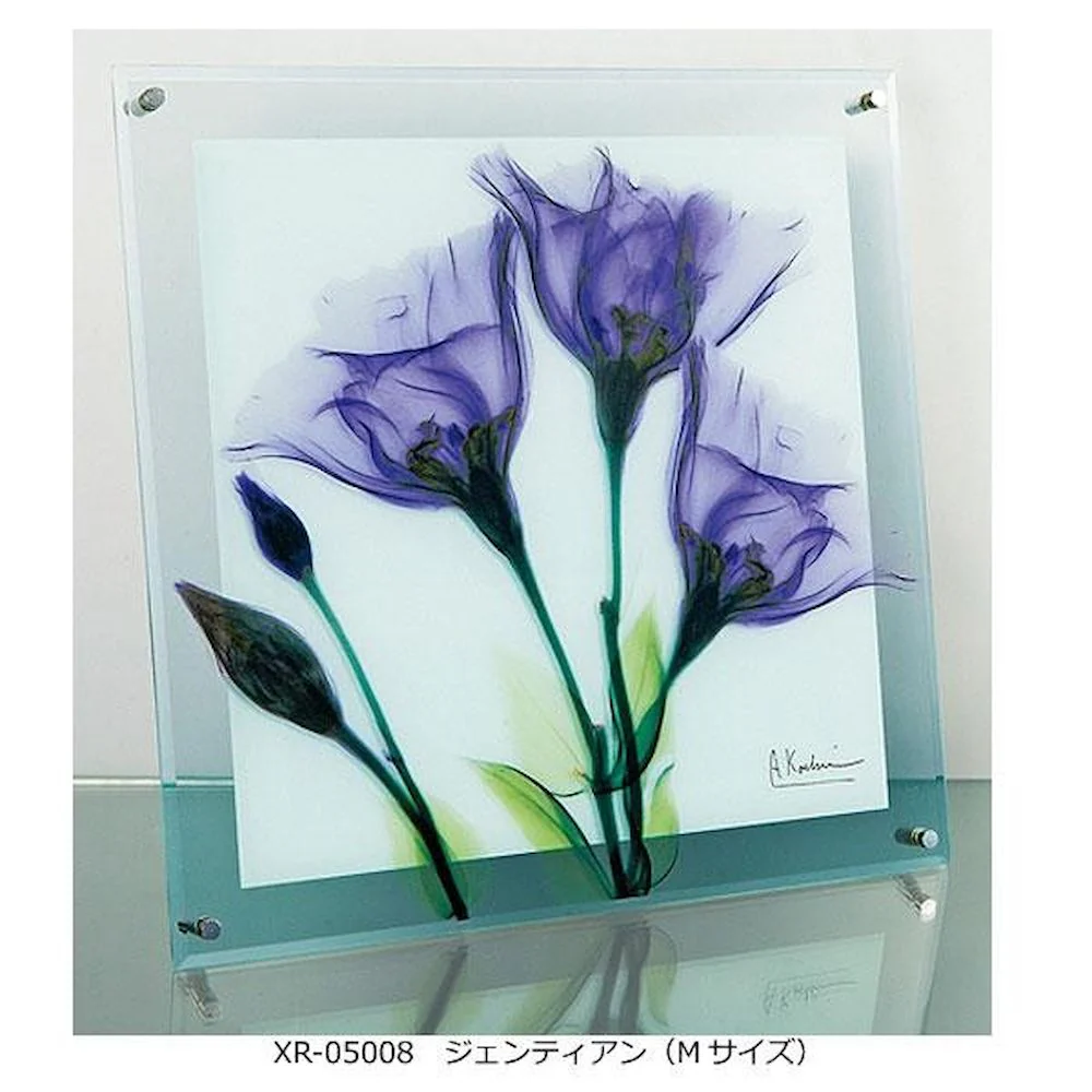 X RAY ガラス アート ジェンティアン Mサイズ 【直送品】 返品・キャンセル・他商品と同時購入は不可 - Image 4
