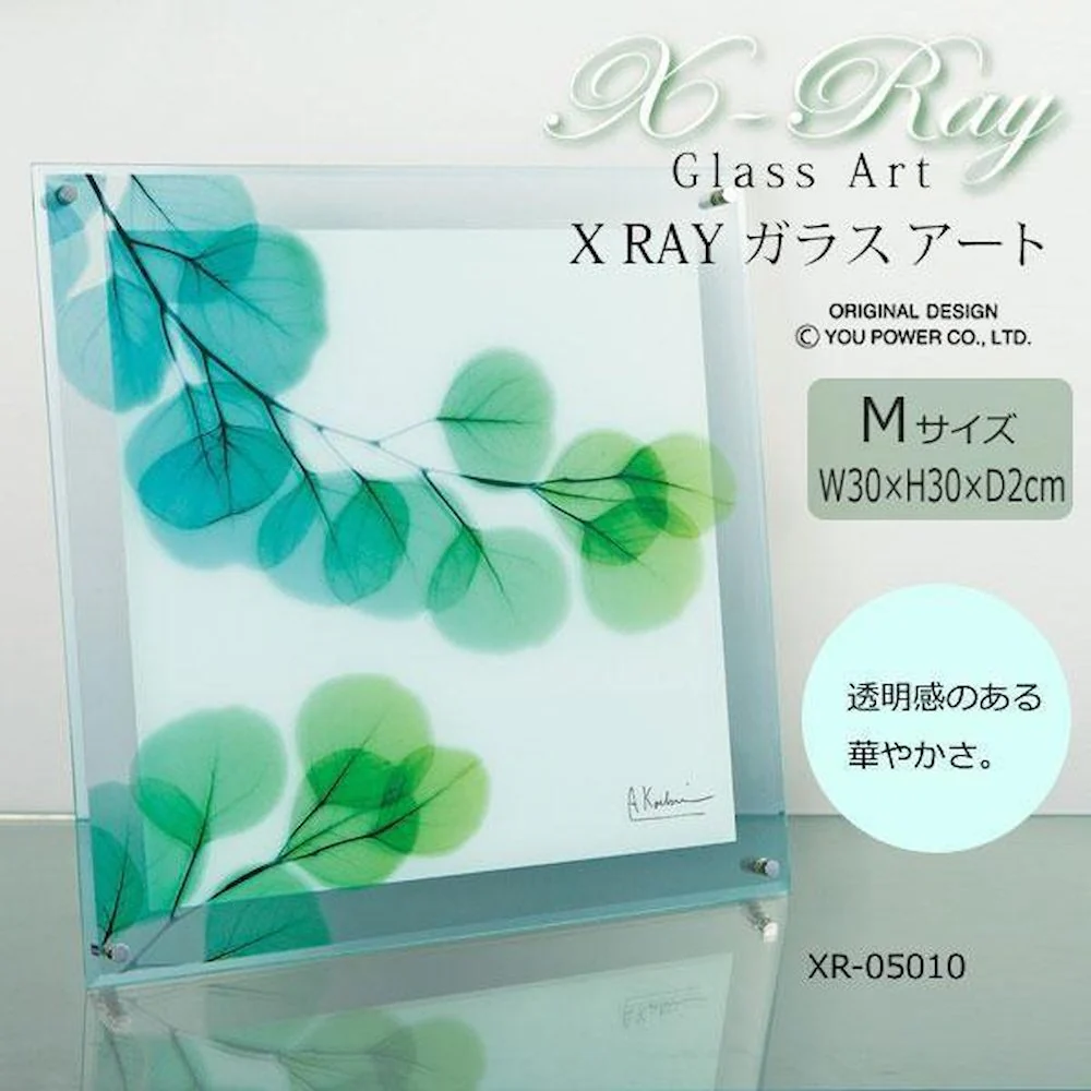 X RAY ガラス アート ユーカリ Mサイズ XR-05010 【直送品】 返品・キャンセル・他商品と同時購入は不可 - Image 2