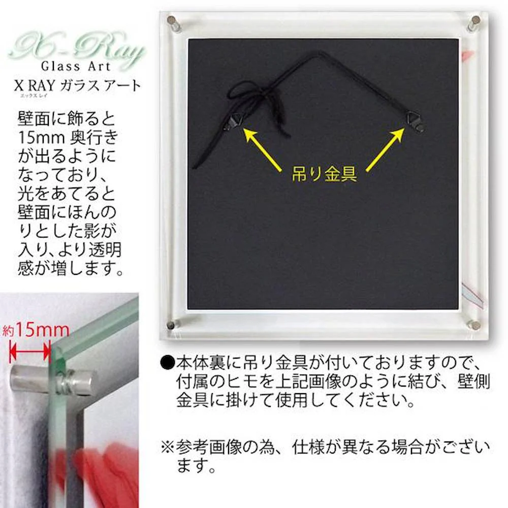 X RAY ガラス アート 「グリーン ユーカリ」 Mサイズ 【直送品】 返品・キャンセル・他商品と同時購入は不可 - Image 3