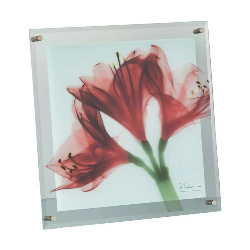 X RAY ガラス アート M 「アマリリス」 【直送品】 返品・キャンセル・他商品と同時購入は不可 - Image 2