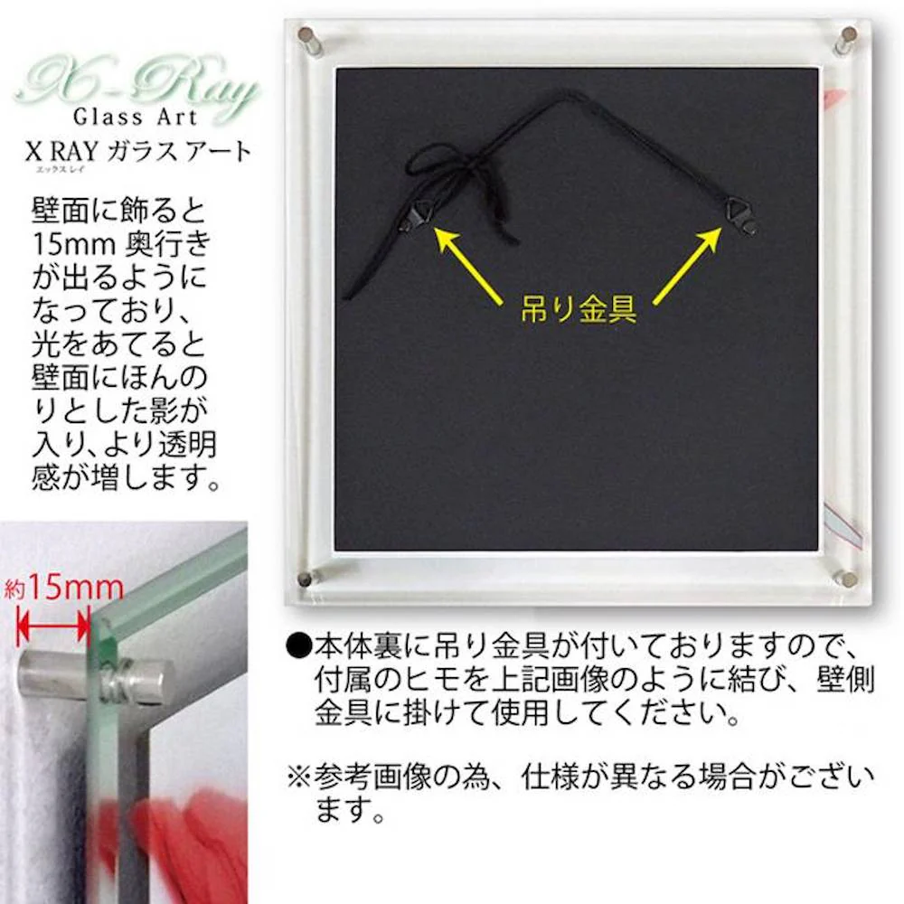X RAY ガラス アート M 「アマリリス」 【直送品】 返品・キャンセル・他商品と同時購入は不可 - Image 4