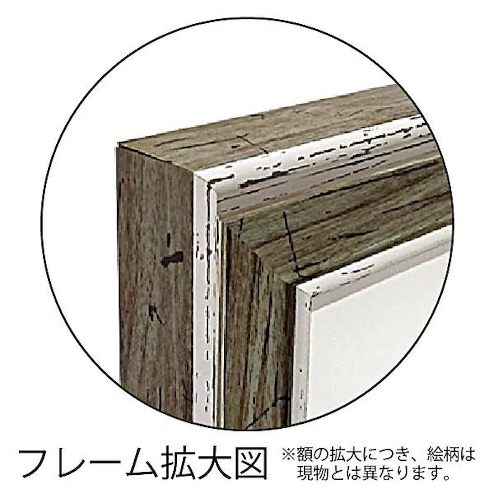 アートパネル フランツ ヘイグル 「デリケート ツィグス」 【直送品】 返品・キャンセル・他商品と同時購入は不可 - Image 2