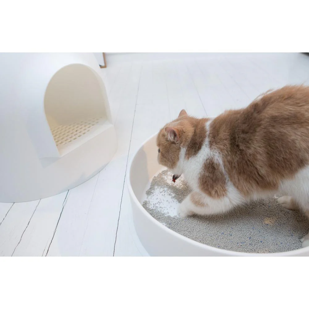 猫用トイレ スノードーム型 【直送品】 返品・キャンセル・他商品と同時購入は不可 - Image 7